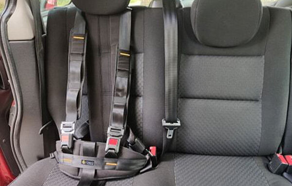 Careva Gurtsystem FiNiFuchs Careva Gurtsystem FiNiFuchs