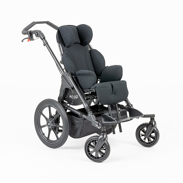 Rehabuggy-FiNiFuchs-Bingo SWITCH galerie 1