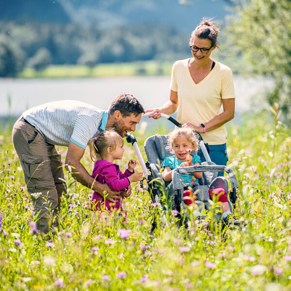 Kimba-Rehakarre-ottobock-FiNiFuchs