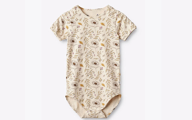 BanaSS Sondenbody-FiNiFuchs