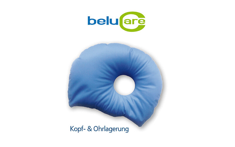 Kopf Ohrlagerung lagern Beluga FiNiFuchs