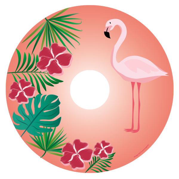 Finifuchs galerie Speichenschutz 9