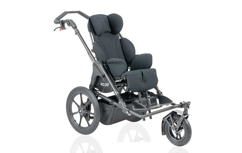 Rehabuggy-FiNiFuchs-Bingo SWITCH Hauptbild
