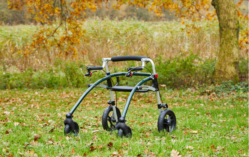 Crocodile AT-R82-Kindergehhilfe