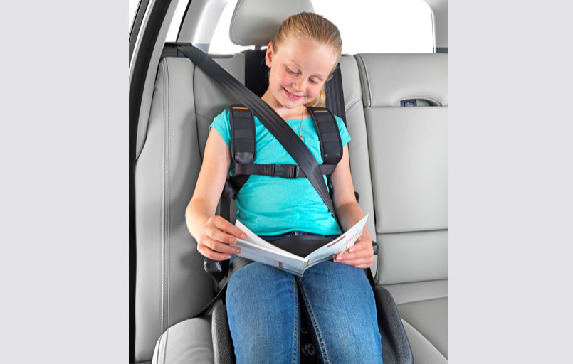 Careva Schulterset Reha Gurtsystem FiNiFuchs Careva Schulterset Reha Gurtsystem FiNiFuchs